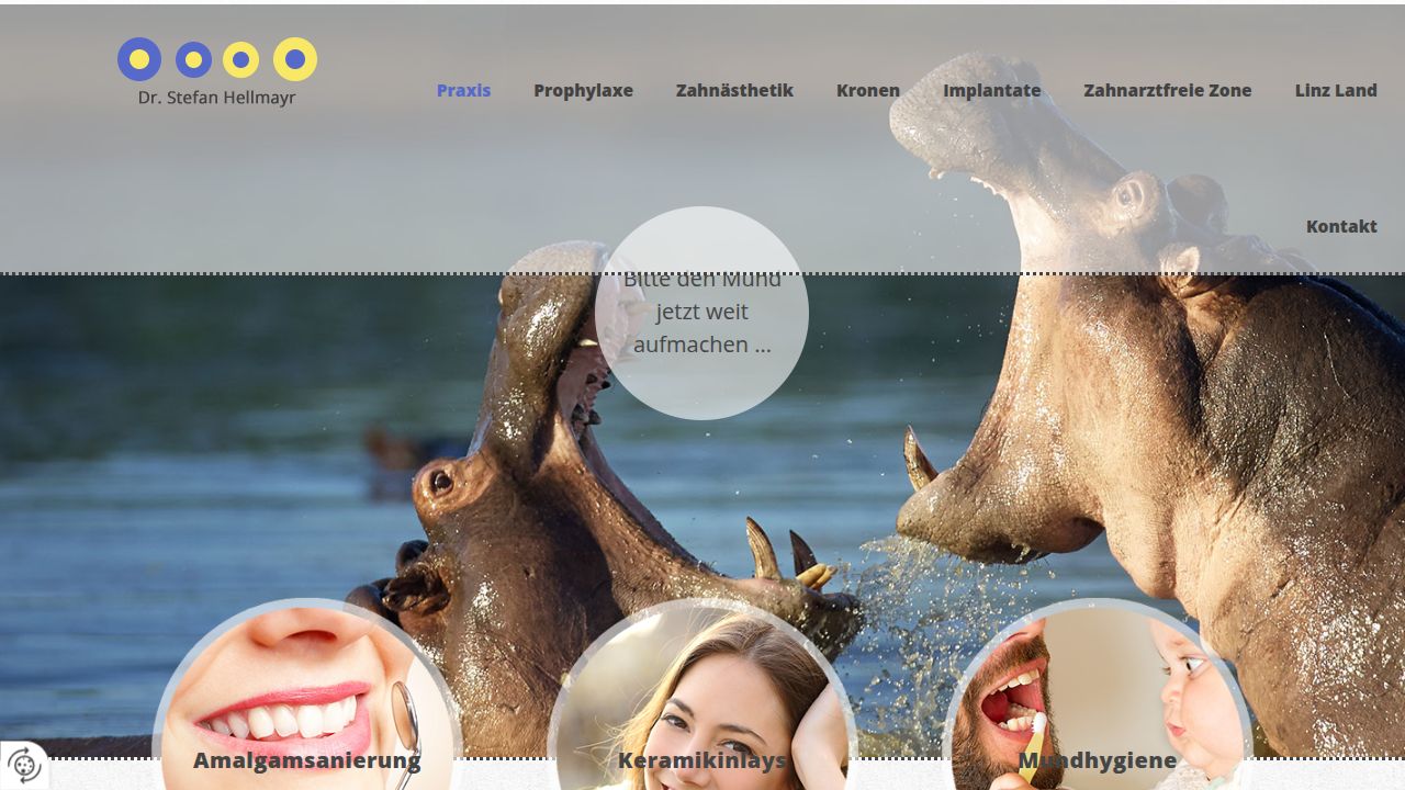 Startpagina van de website van Dr. med. Stefan Hellmayr